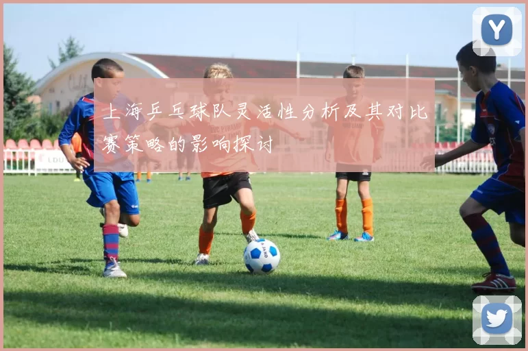上海乒乓球队灵活性分析及其对比赛策略的影响探讨
