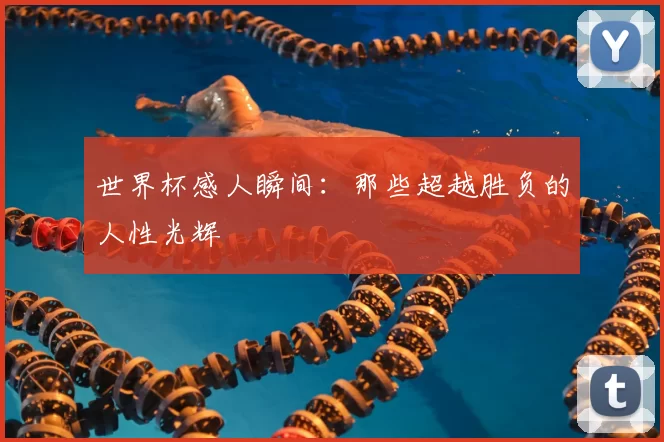 世界杯感人瞬间:那些超越胜负的人性光辉