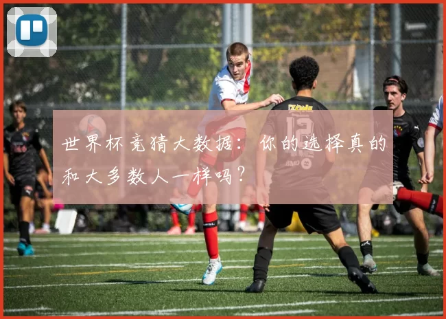 世界杯竞猜大数据:你的选择真的和大多数人一样吗?