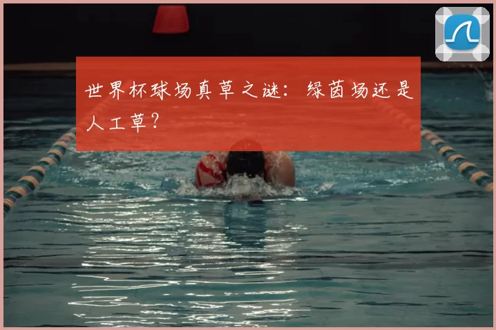 世界杯球场真草之谜：绿茵场还是人工草？