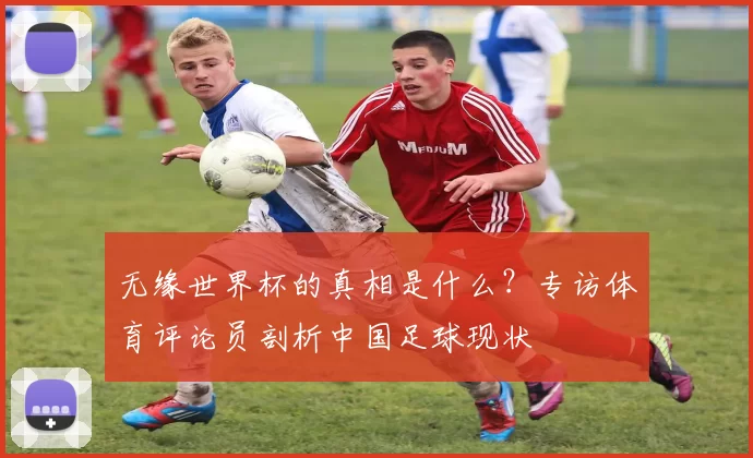 无缘世界杯的真相是什么?专访体育评论员剖析中国足球现状