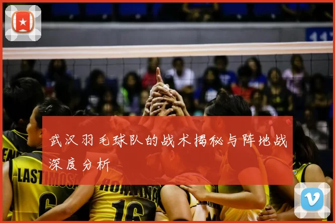 武汉羽毛球队的战术揭秘与阵地战深度分析
