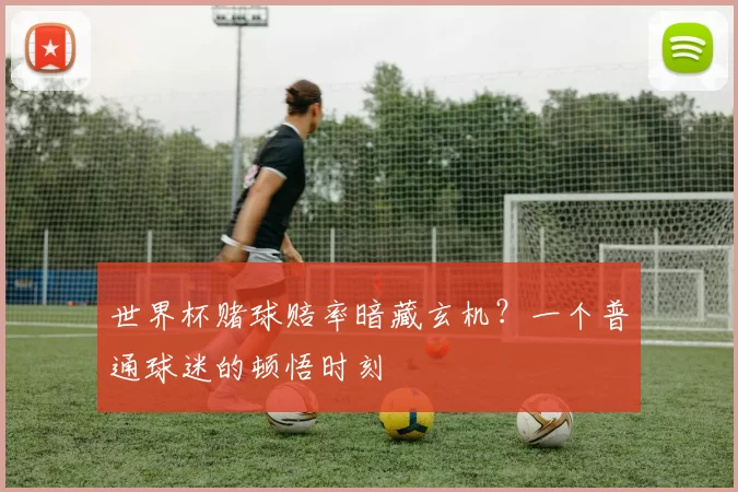 世界杯赌球赔率暗藏玄机?一个普通球迷的顿悟时刻