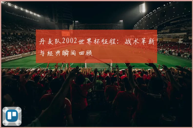 丹麦队2002世界杯征程:战术革新与经典瞬间回顾