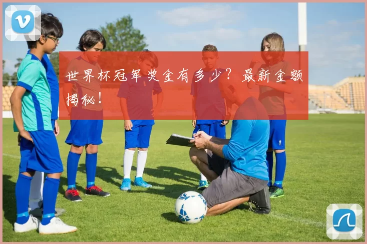 世界杯冠军奖金有多少？最新金额揭秘！