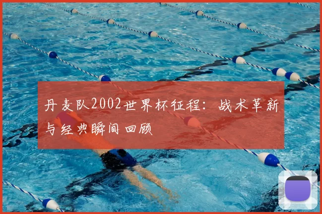 丹麦队2002世界杯征程：战术革新与经典瞬间回顾