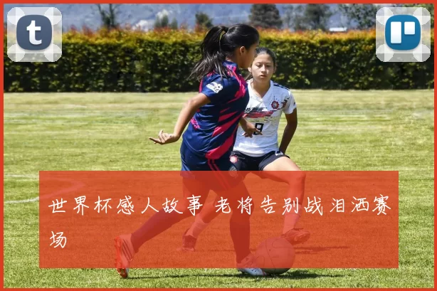 世界杯感人故事 老将告别战泪洒赛场