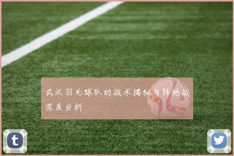 武汉羽毛球队的战术揭秘与阵地战深度分析