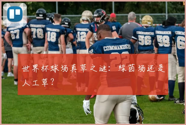 世界杯球场真草之谜：绿茵场还是人工草？