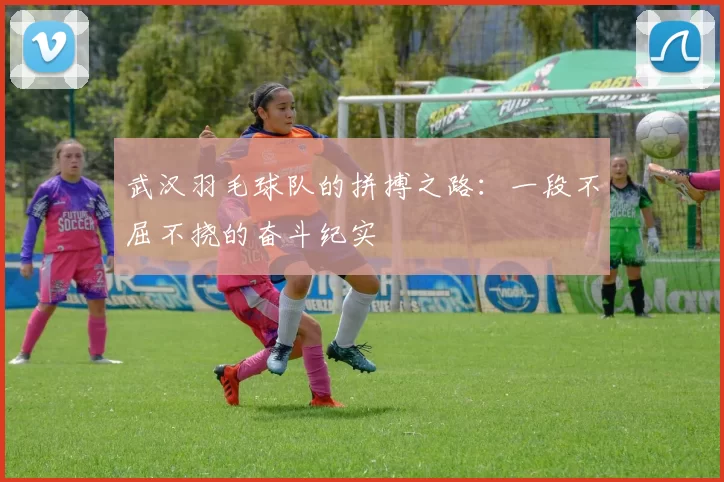 武汉羽毛球队的拼搏之路:一段不屈不挠的奋斗纪实