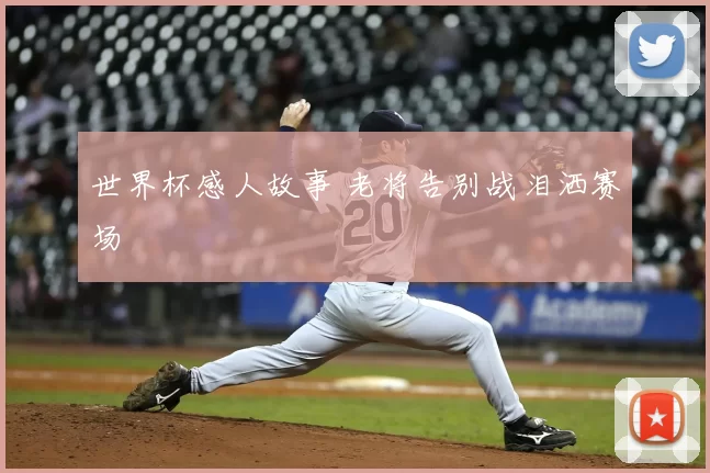世界杯感人故事 老将告别战泪洒赛场