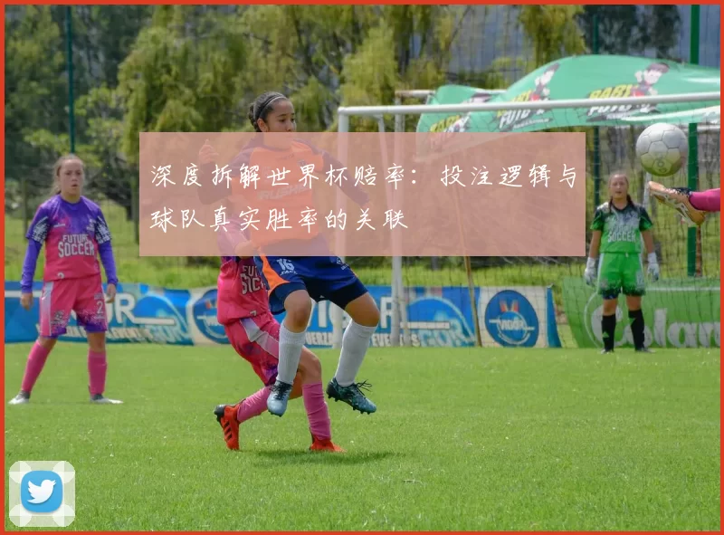 深度拆解世界杯赔率:投注逻辑与球队真实胜率的关联