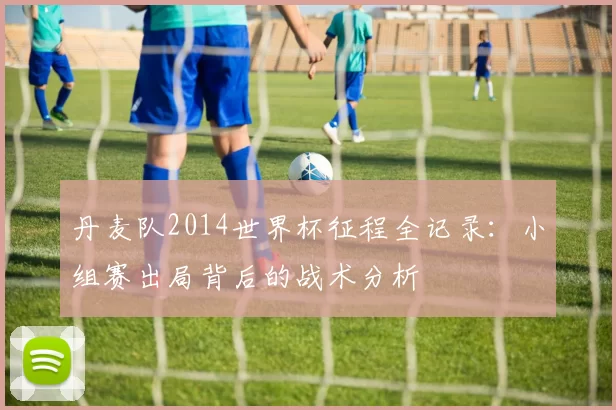 丹麦队2014世界杯征程全记录:小组赛出局背后的战术分析