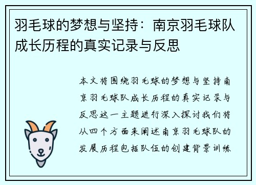 羽毛球的梦想与坚持：南京羽毛球队成长历程的真实记录与反思