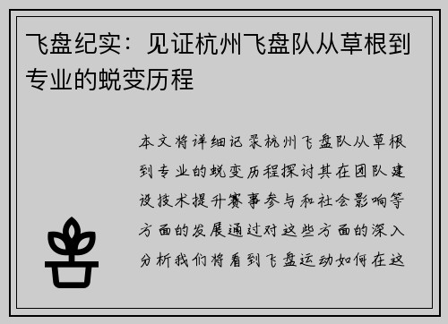飞盘纪实：见证杭州飞盘队从草根到专业的蜕变历程